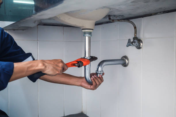 Best Plumbing Inspection Services  in Melrose, MN