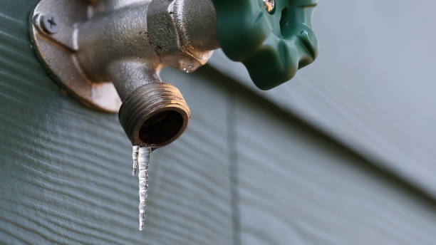 Best Plumbing Inspection Services  in Melrose, MN