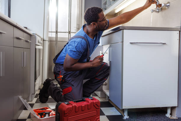 Best Affordable Plumbing Services  in Melrose, MN